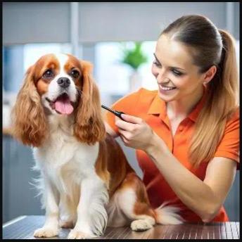 Caring for a pet at All Creatures Veterinary Center
